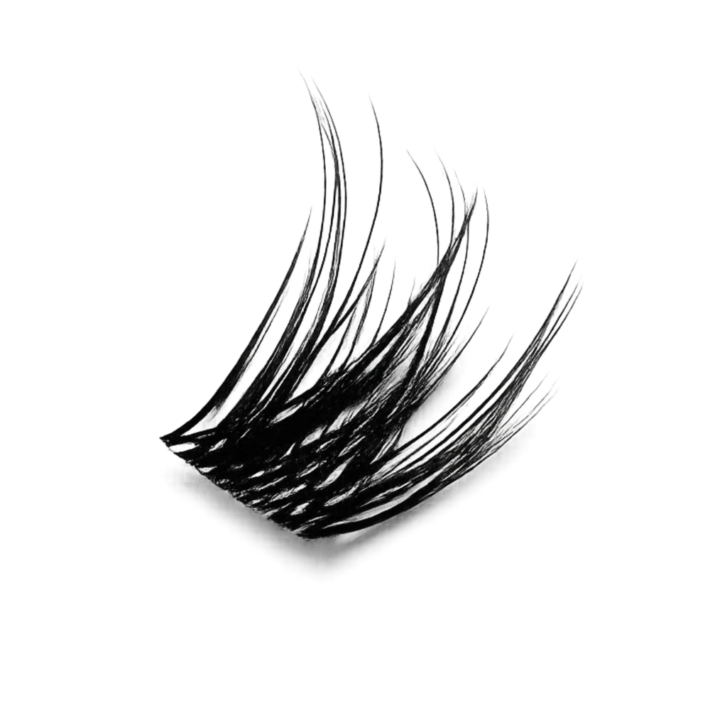 Bloom Petal Set