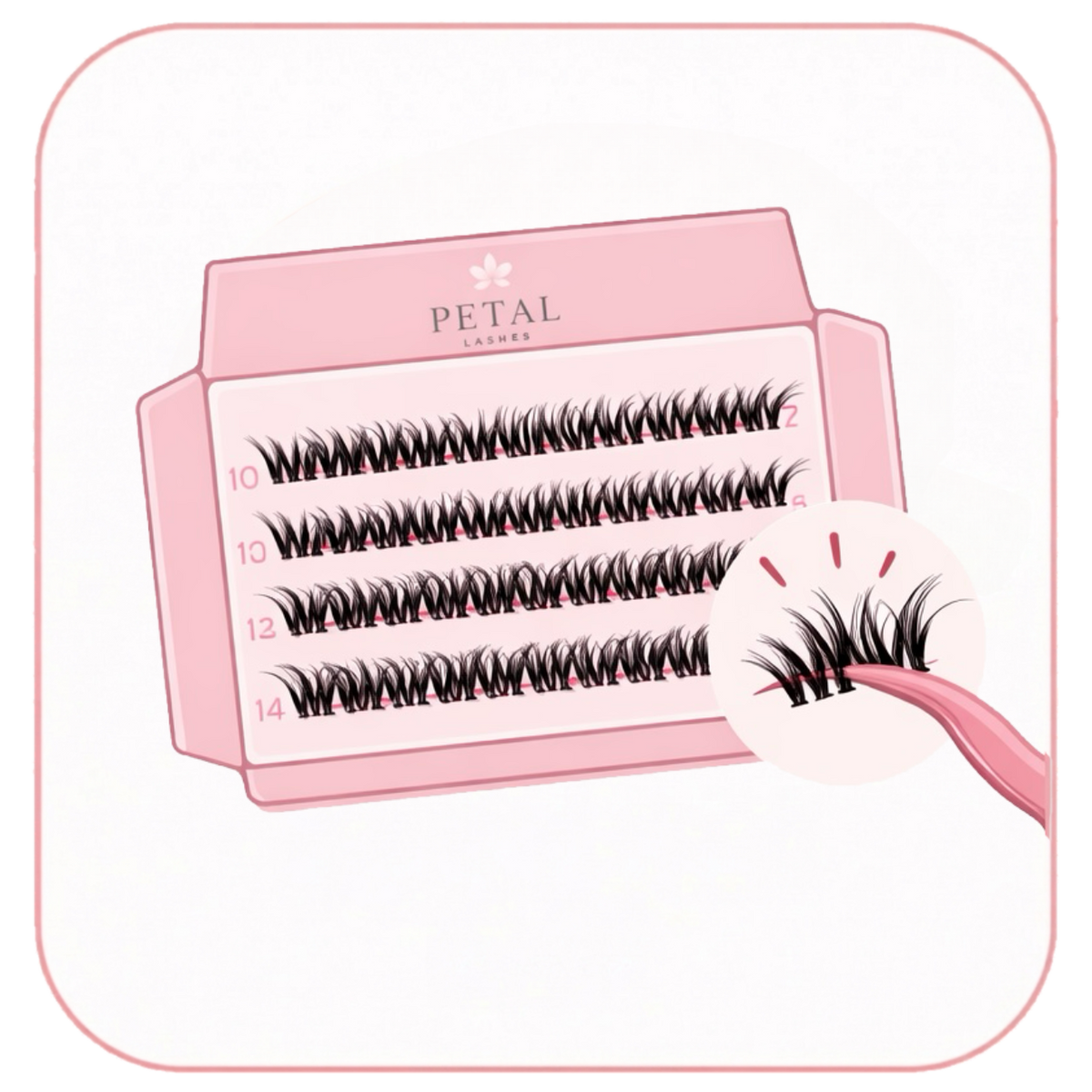 Set of false eyelashes in a pink case with 'Petal' branding on a white background.