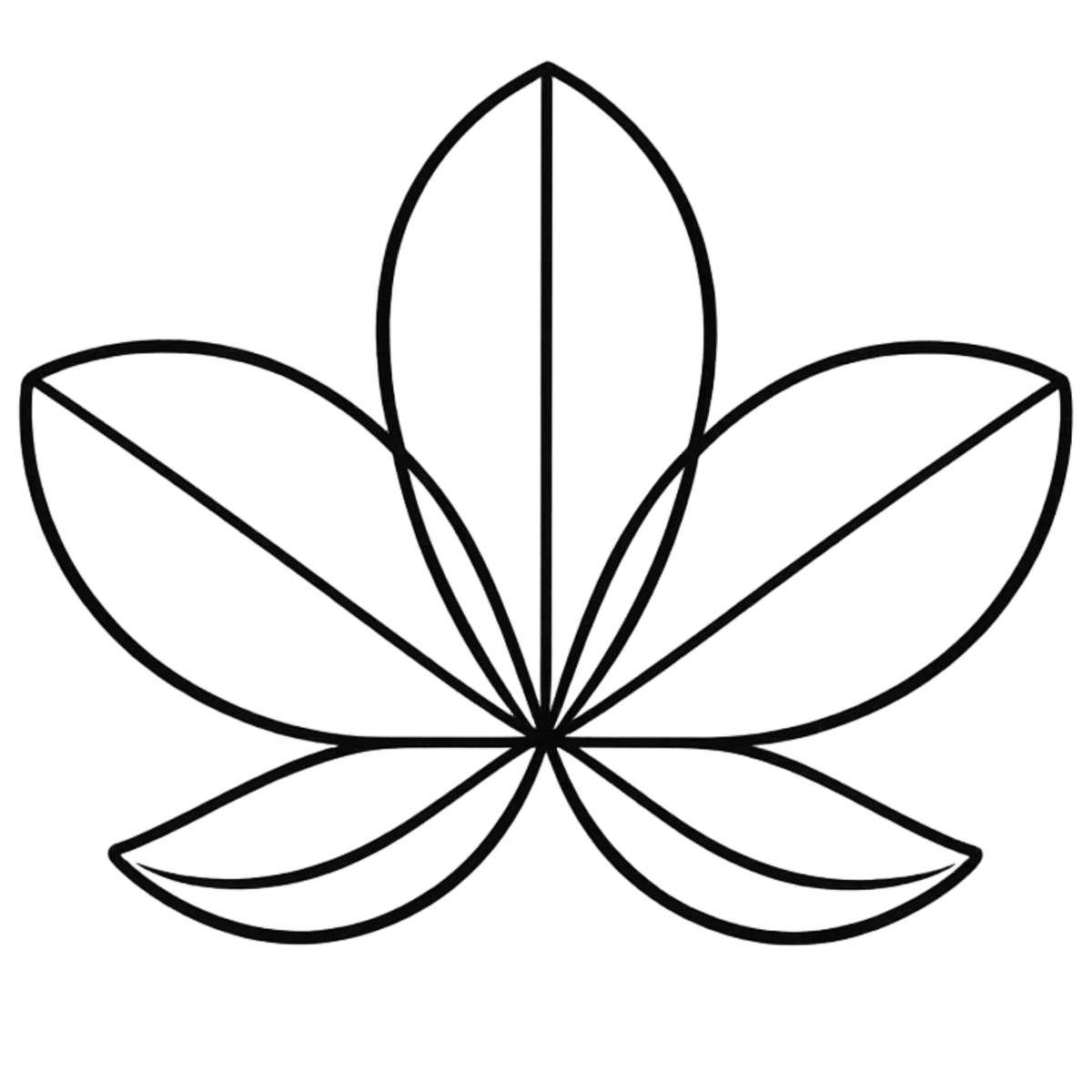 Black line drawing of a flower-like shape on a white background