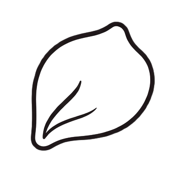Black outline of a leaf on a white background