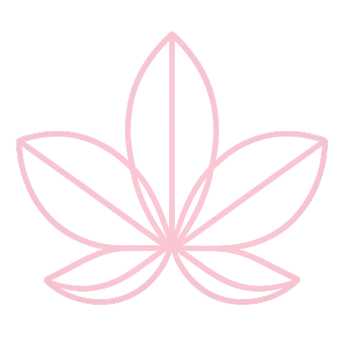 Pink flower outline on a white background